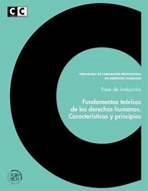 Fundamentos Teoricos de los Derechos Humanos , Programa de Capacitacion y Formacion profesional en Derechos Humanos, fase de Induccion. Sandra Serrano y Daniel Vazquez